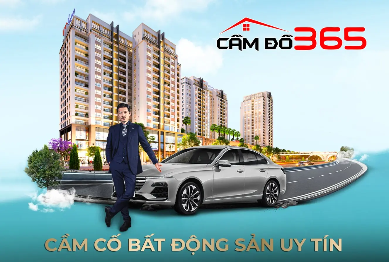 cam co bat dong san so do nha dat