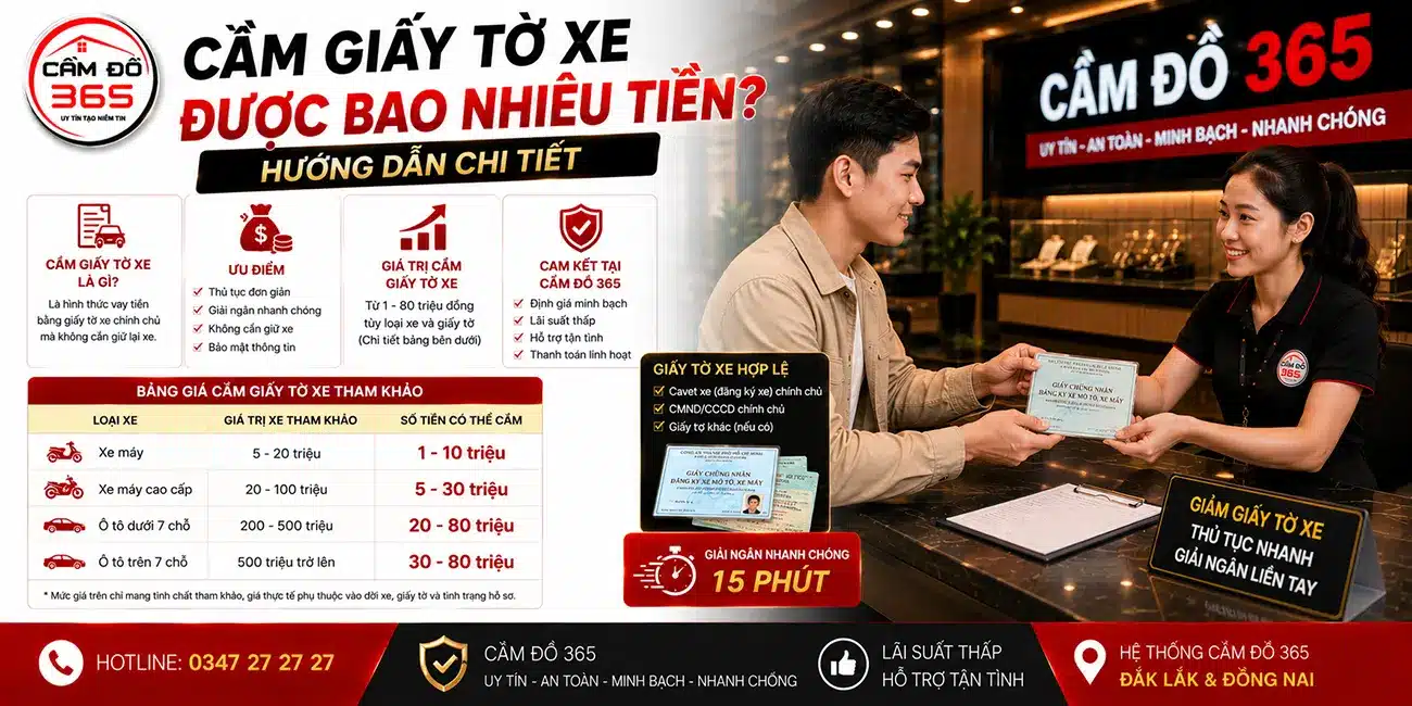cam giay to xe duoc bao nhieu tien huong dan chi tiet