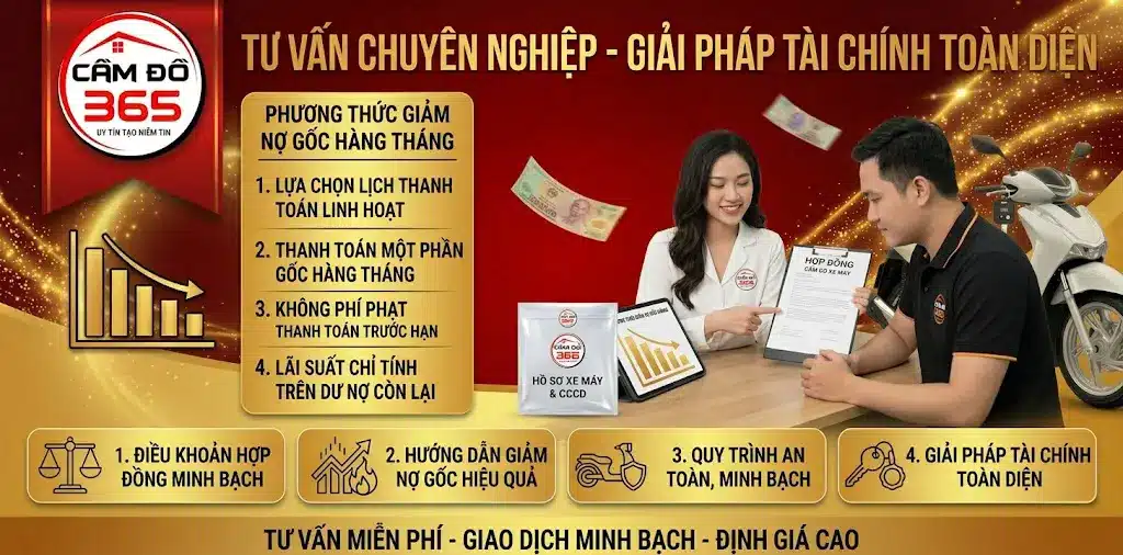 Cam Do 365 giai phap thay the vay tien dung an toan song phang