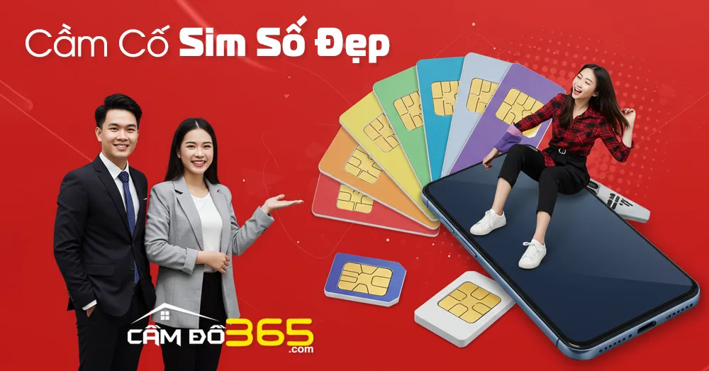 cam co sim so dep giai phap tai chinh thong minh cho chu so huu