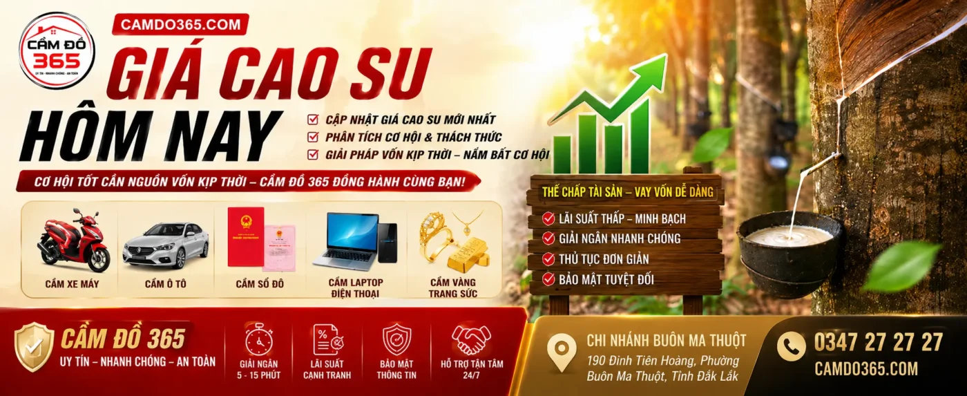 gia cao su hom nay co hoi va thach thuc cua nganh cao su