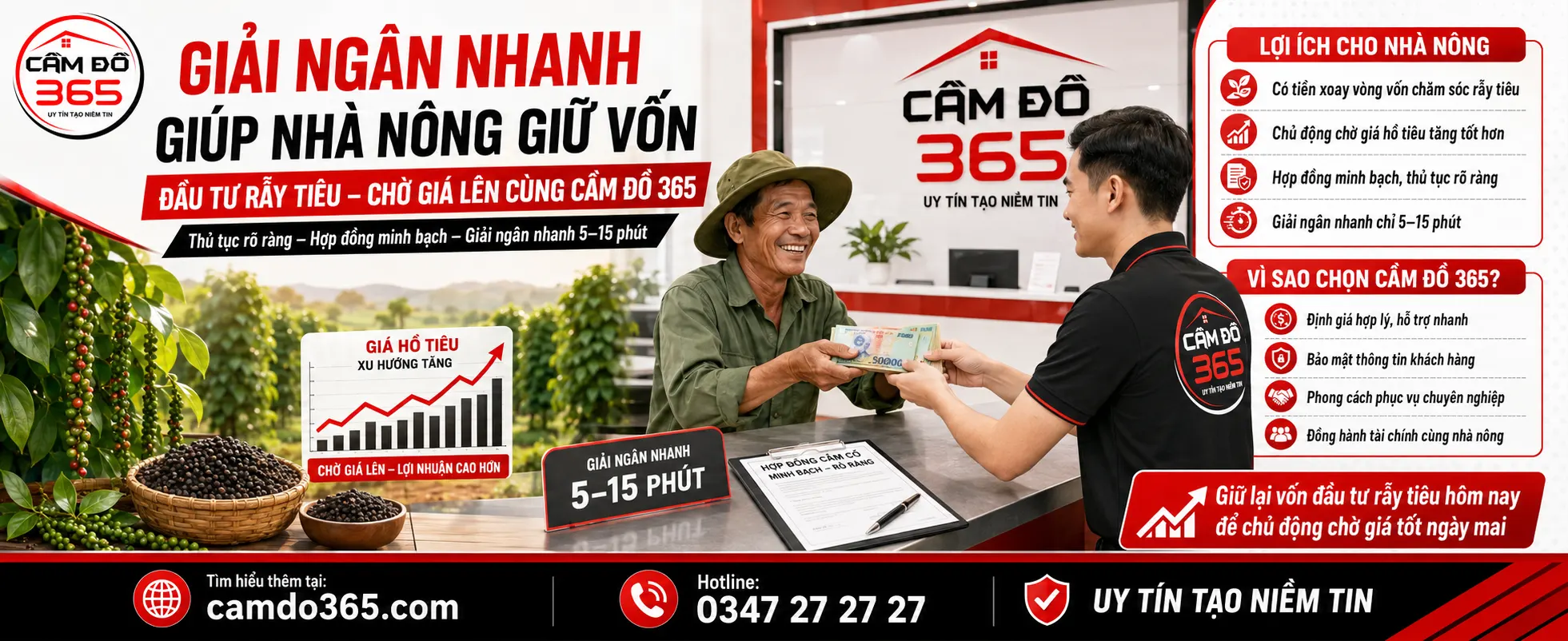 Kham pha gia ho tieu tai Dak Lak co hoi va thach thuc vay von tai Cam Do 365