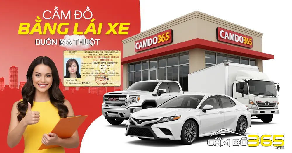 cam bang lai xe b1 b c1 c d1 d2 d buon ma thuot