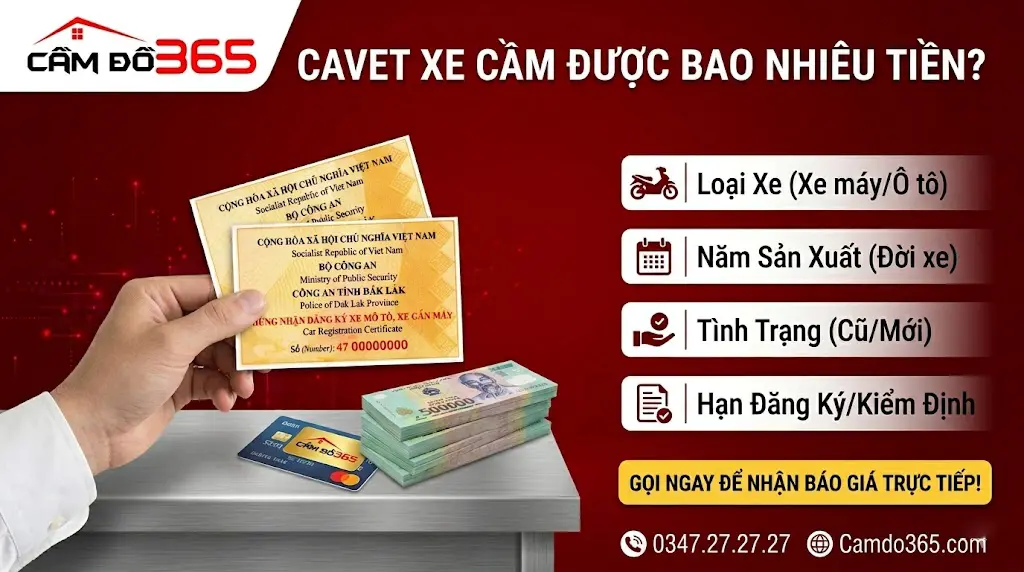 cavet xe cam duoc bao nhieu tien bang gia chuan